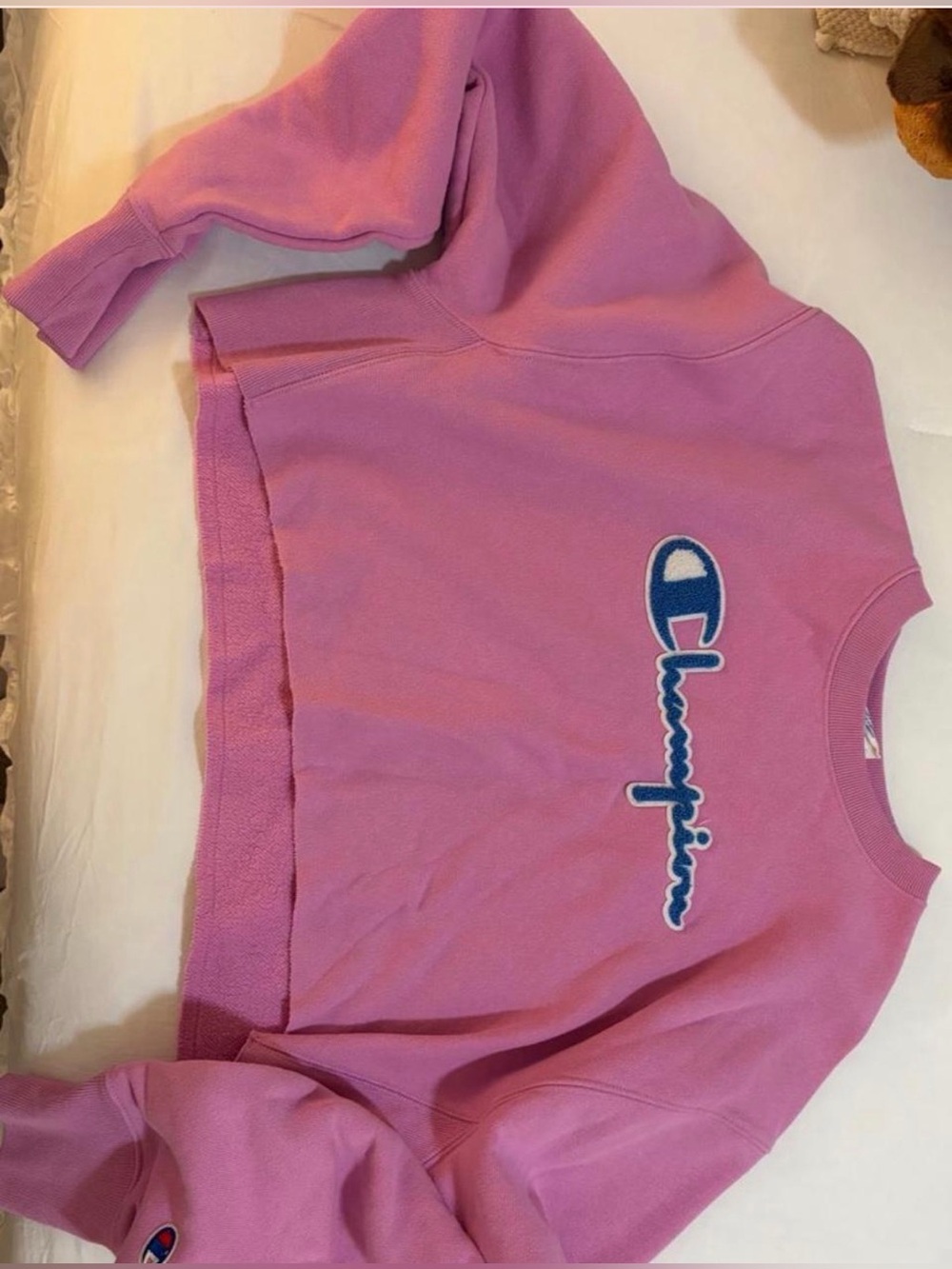 Champion Sweatshirt